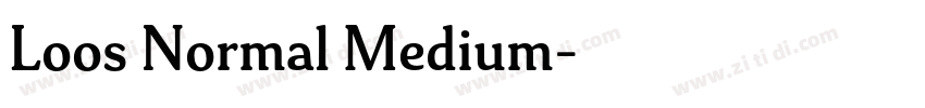 Loos Normal Medium字体转换